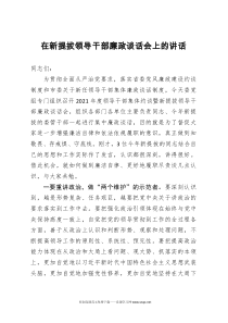 范文在新提拔领导干部廉政谈话会上的讲话专题廉政党课