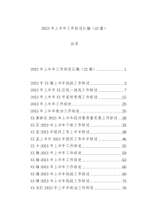 2023年上半年工作综述汇编（22篇）