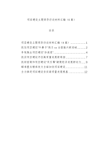 项目建设主题领导访谈材料汇编（6篇）